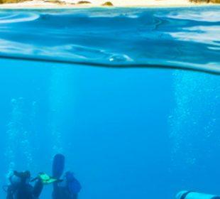 Les 10 meilleurs spots de plongée du monde