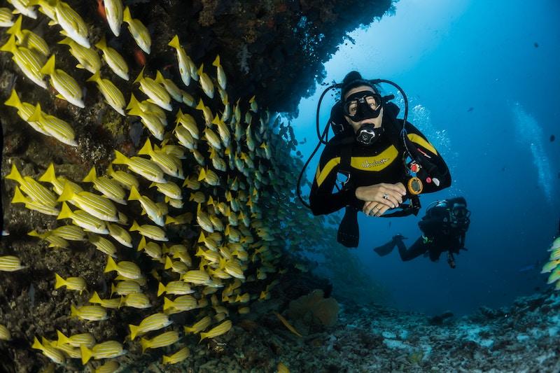 Plongée sous marine, Maldives